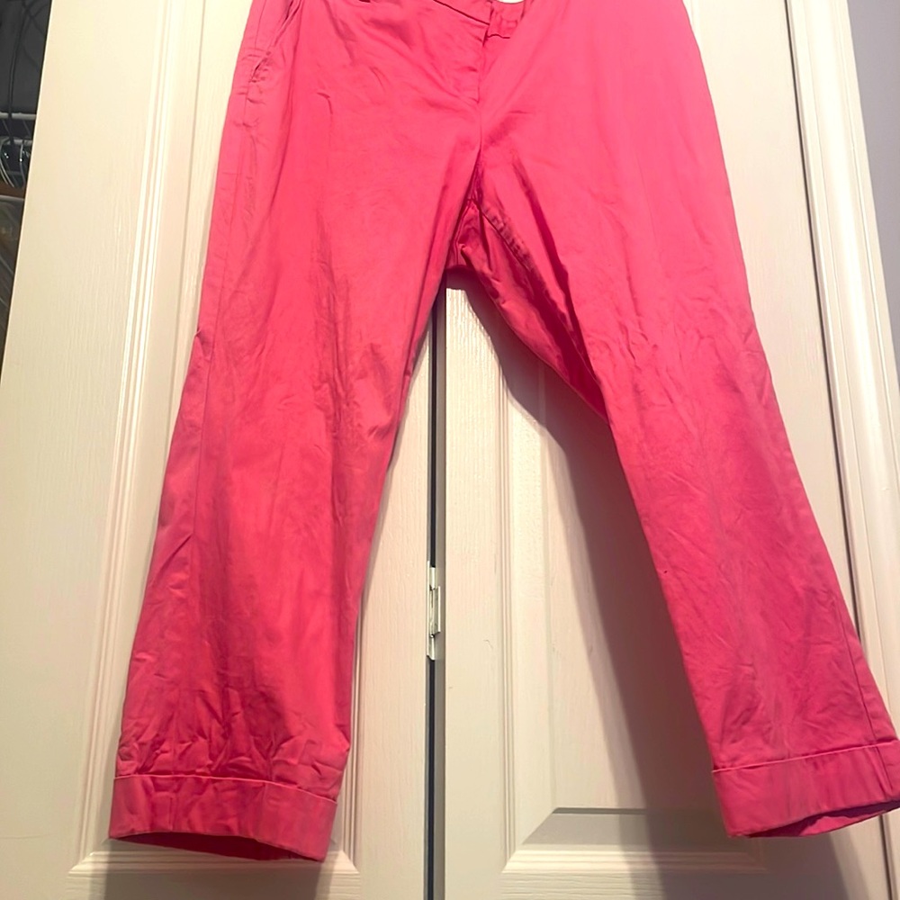 Size 12 New York and Company Stretch pink pants